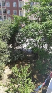 4 saylı Vərəm Dispanseri