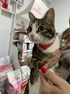 HAPPYVET BAYTARLIQ KLİNİKASI