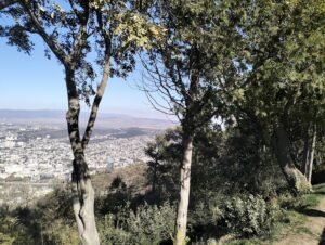 M.Ə.Əfəndiyev adına 2 nömrəli Şəhər Klinik Xəstəxanası