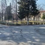 M.Hacıyev adına Şəki Rayon Mərkəzi Xəstəxana